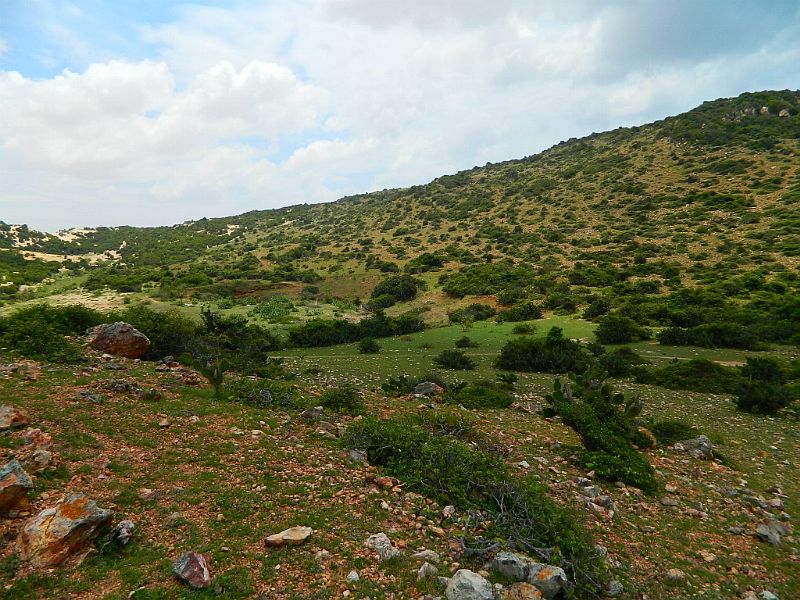 DSCN2220.jpg
