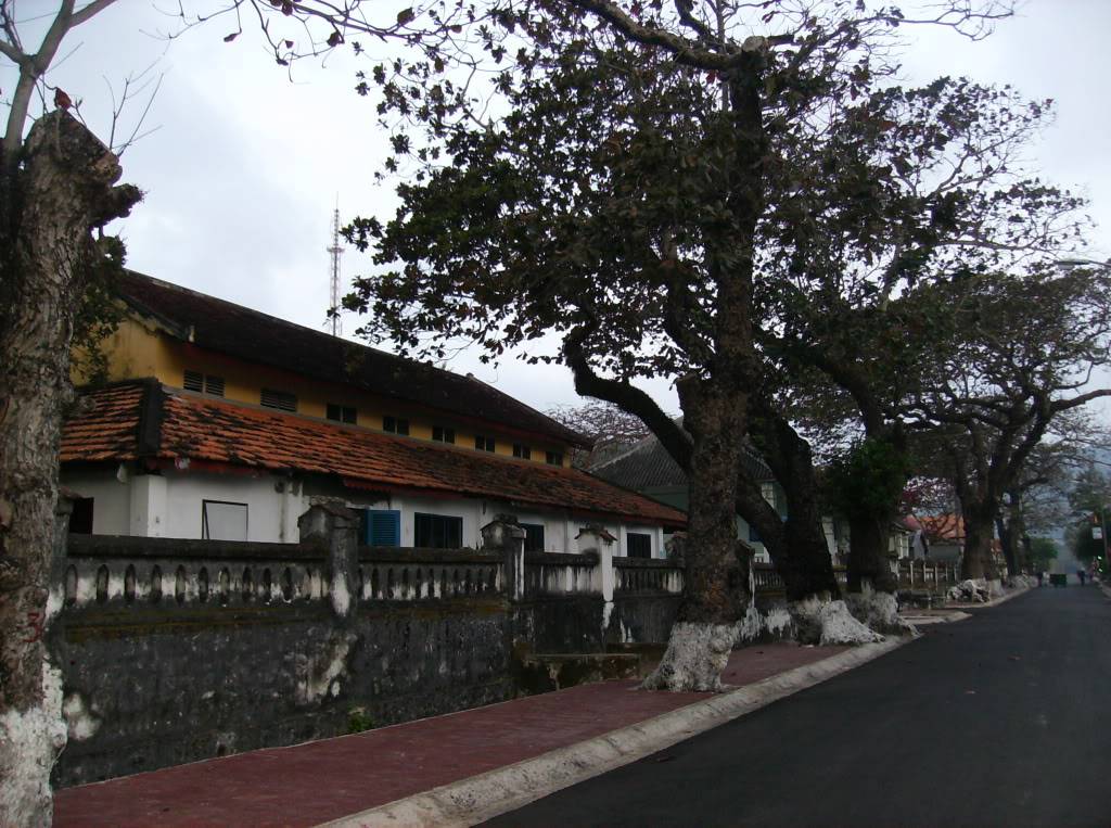 HPIM3507.jpg