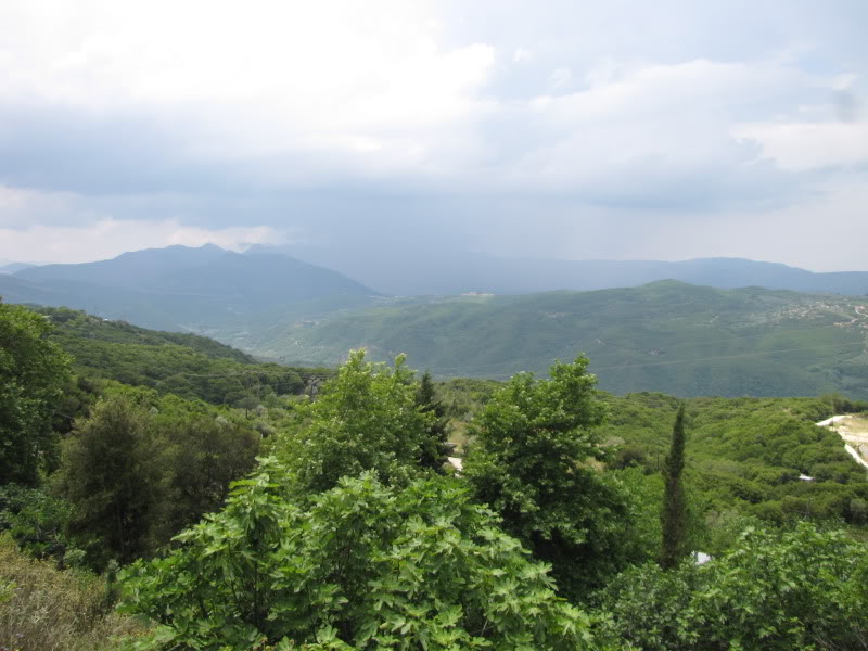 IMG_4282.jpg