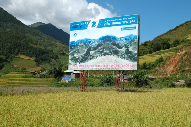 DSC_0815.jpg