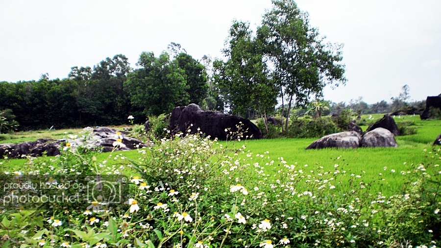 131_zpsbaf65942.jpg