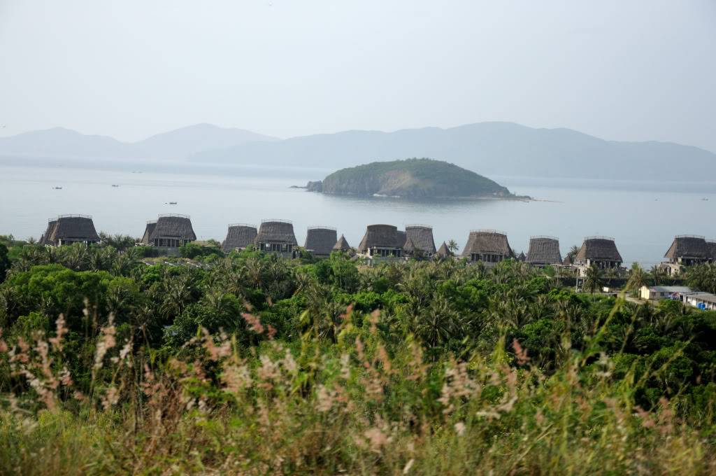 DSC_0105.jpg