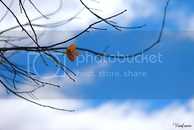 IMG_9768.jpg