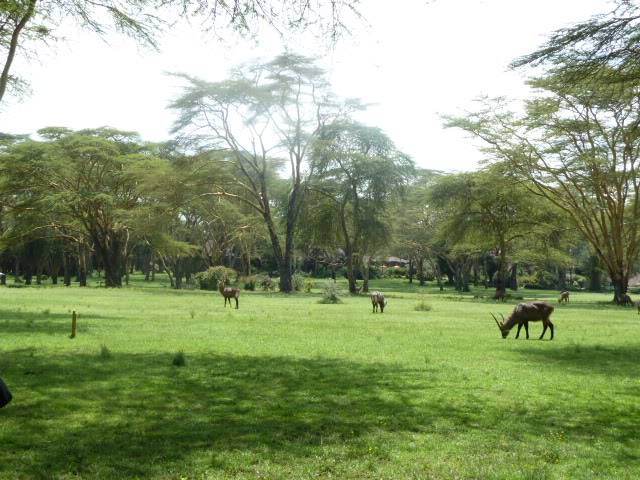 L1010761.jpg