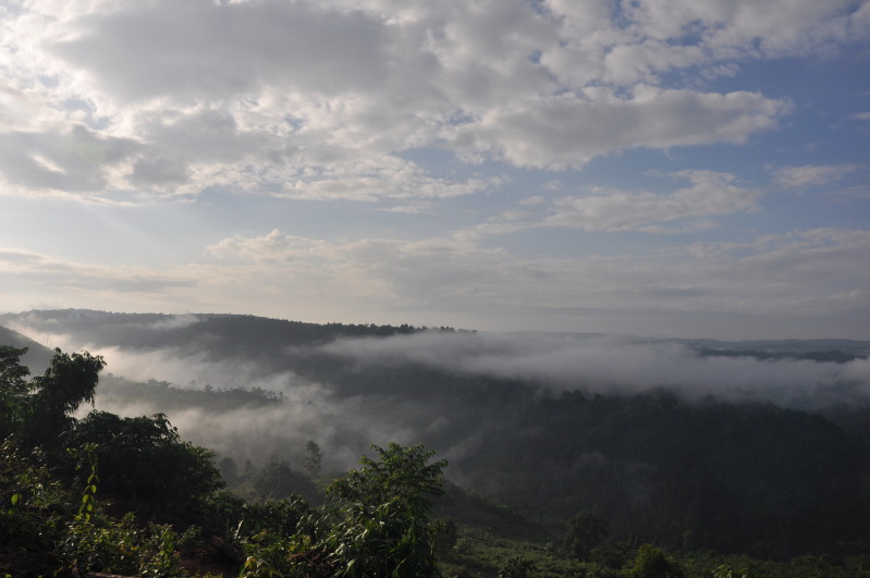 DSC_1426.jpg