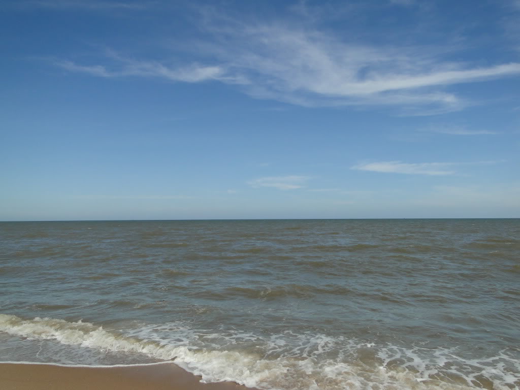DSC04347.jpg