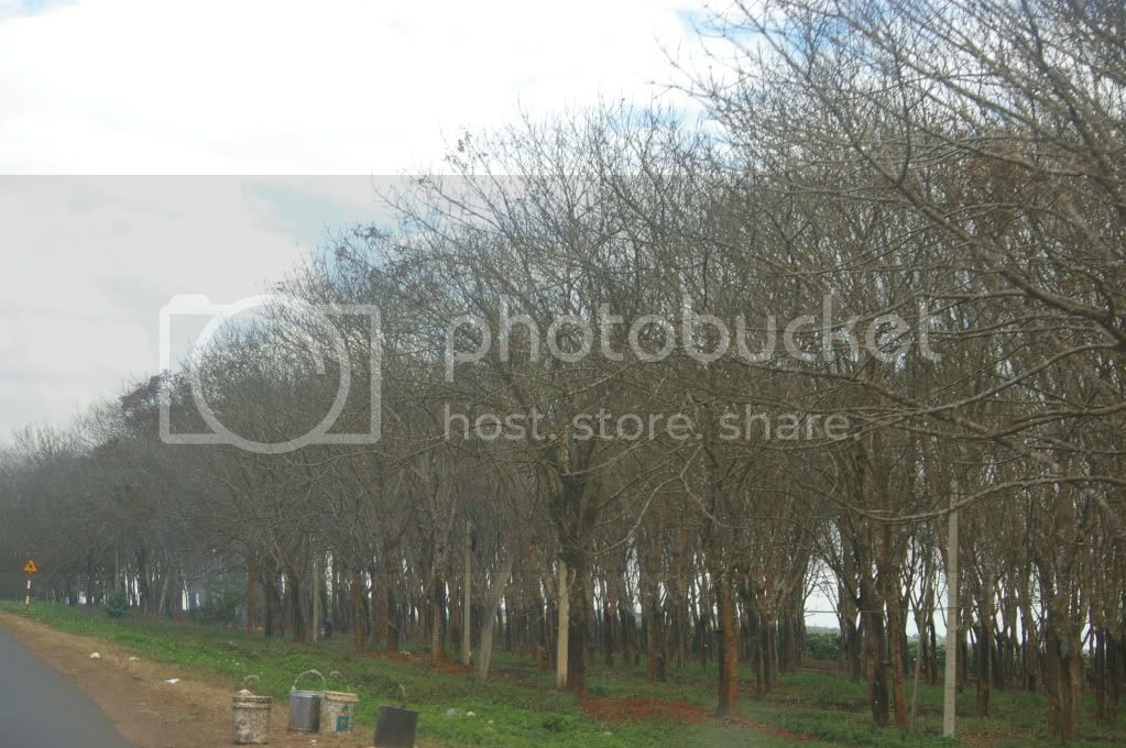 IMGP0168.jpg