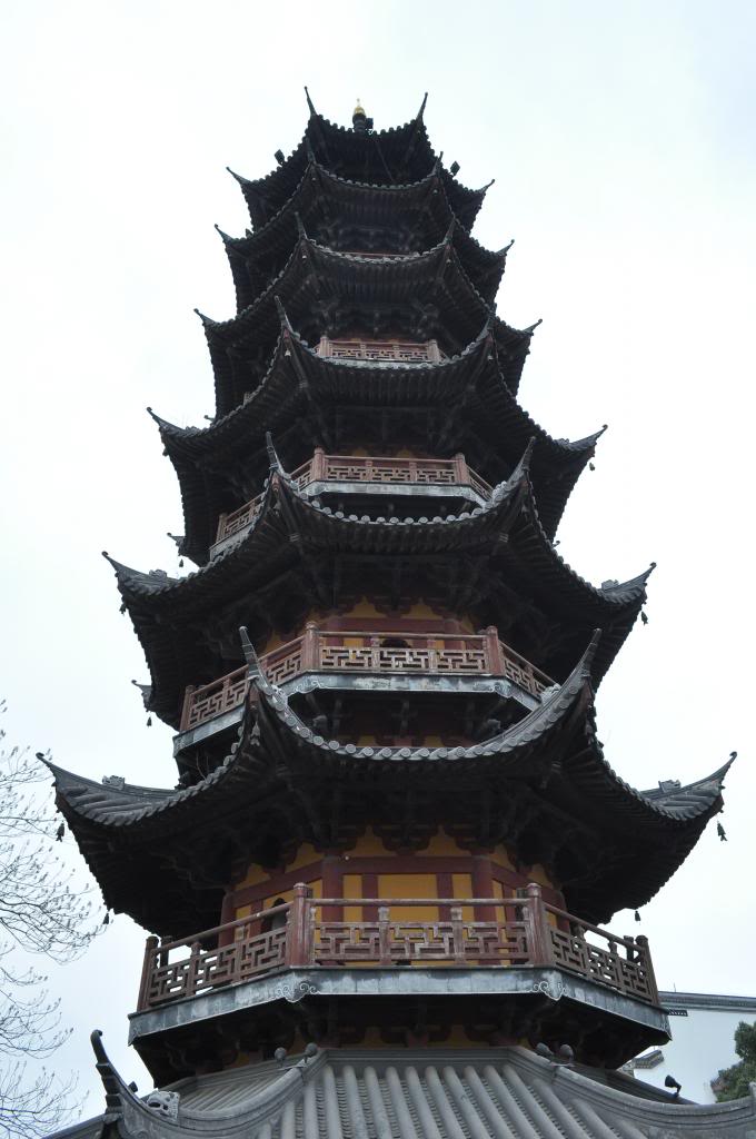 DSC_5805_zps69dc713a.jpg
