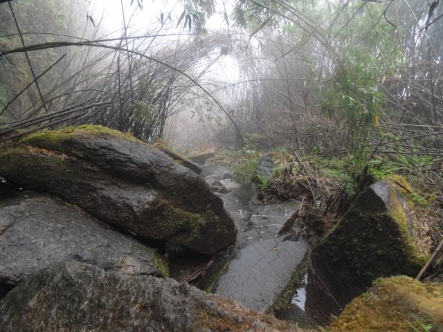 DSC01403_zps5f58b254.jpg
