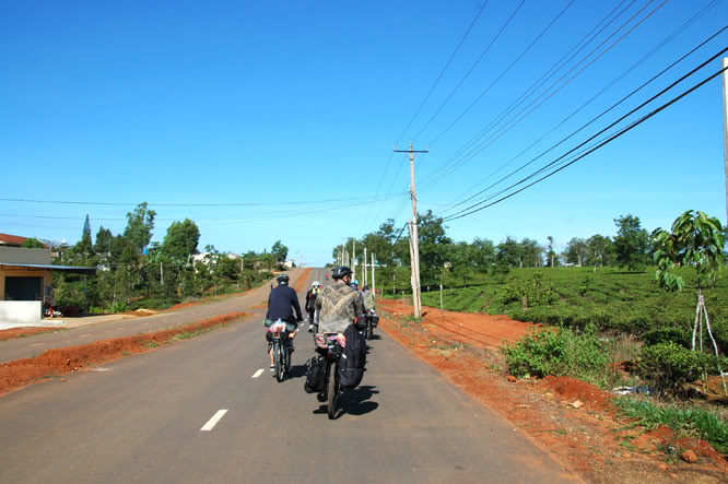 DSC_3325.jpg