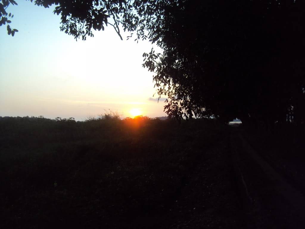 DSC04460.jpg
