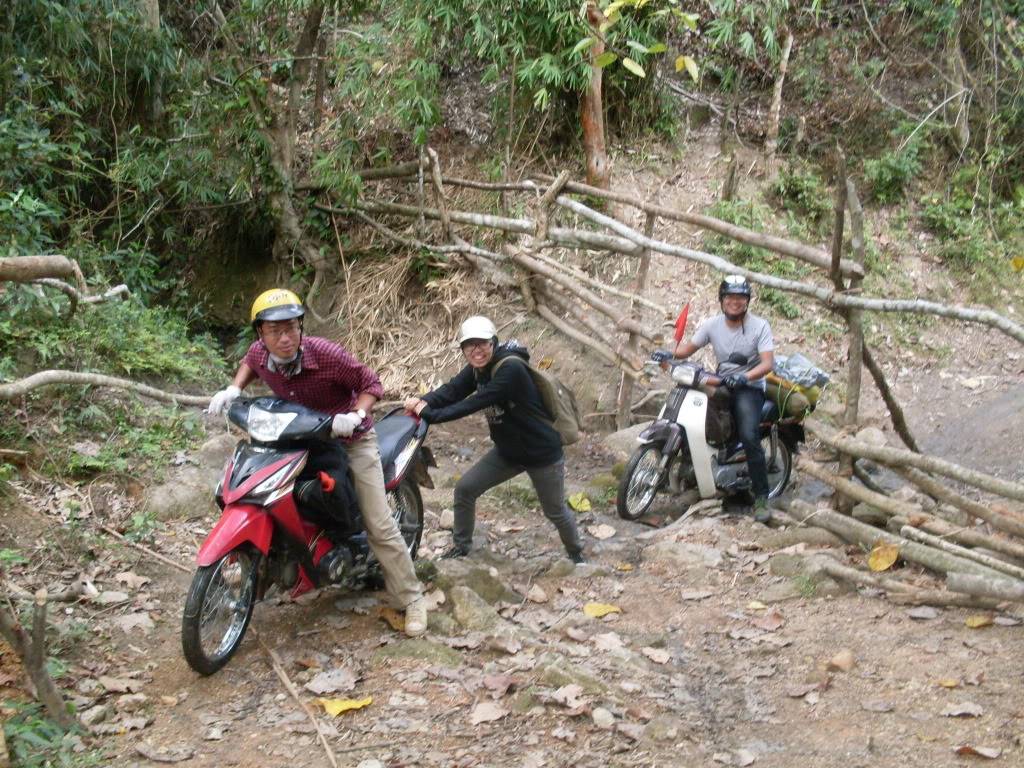 SDC10539.jpg