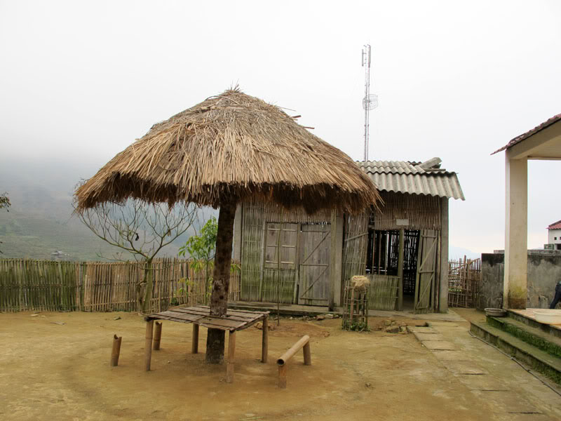 HongNgai2011778.jpg