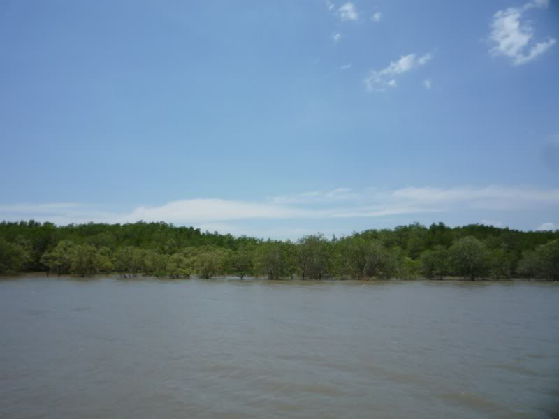 P1030243800x600.jpg