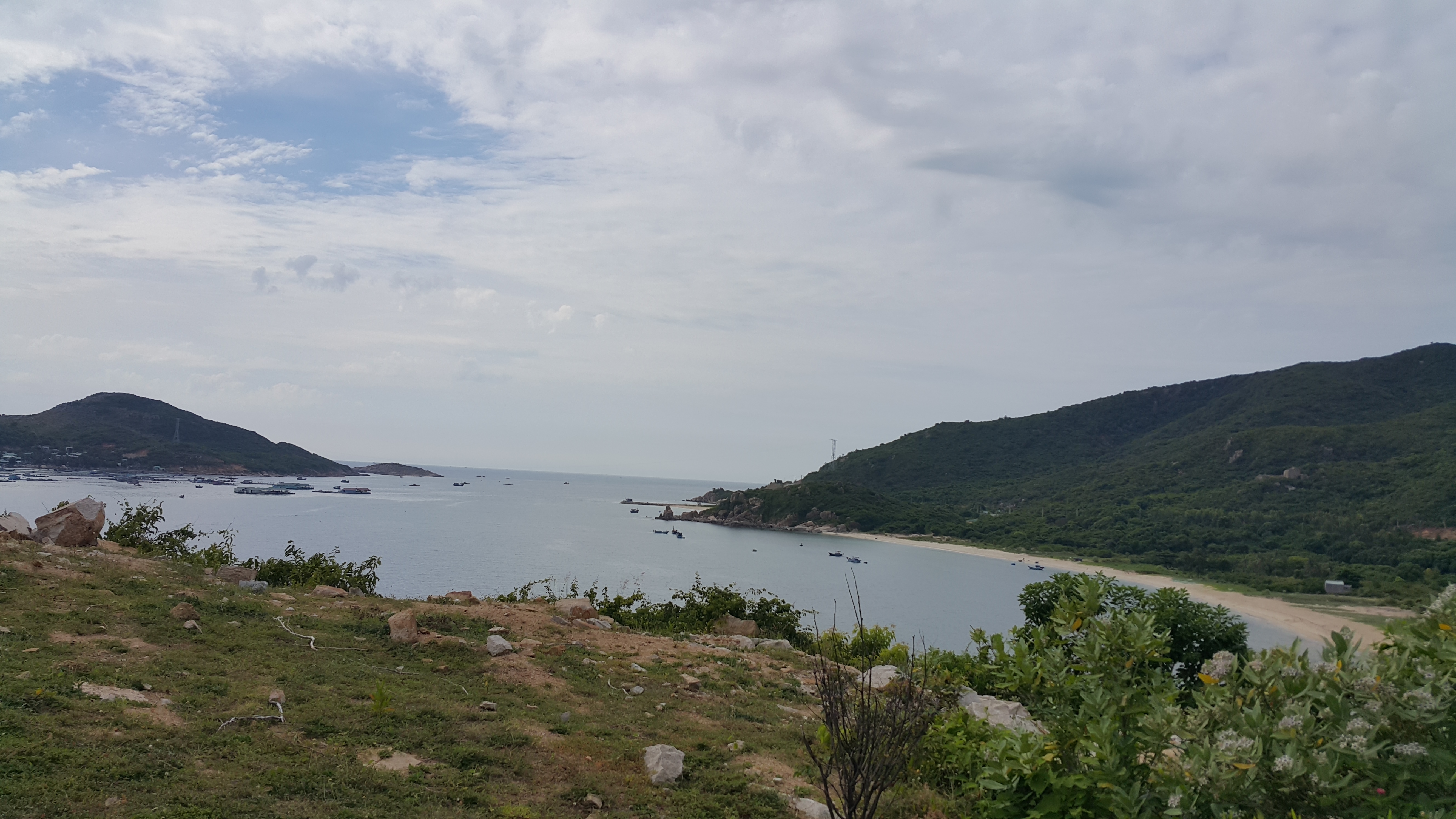 20170622_084833.jpg