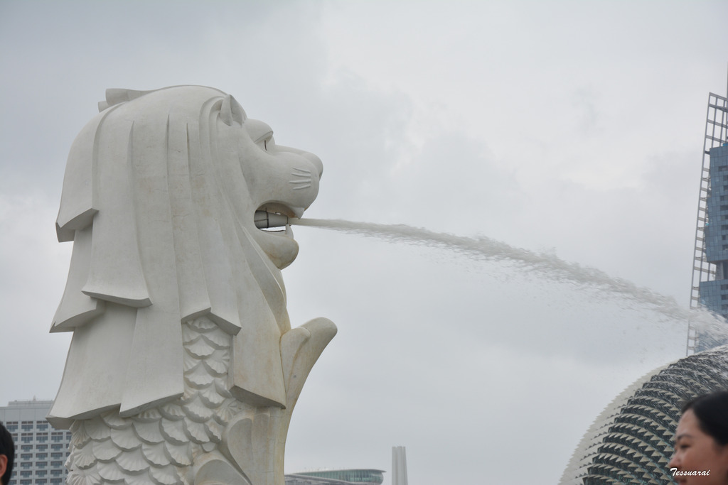 DSC_0359.jpg