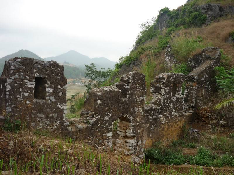 P1020388-1.jpg