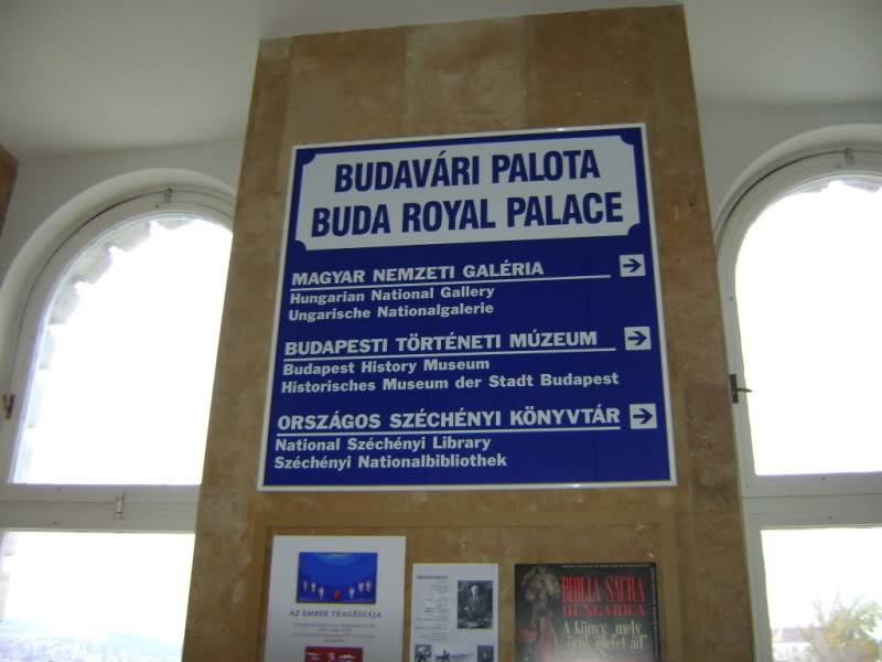 DSC00530.jpg
