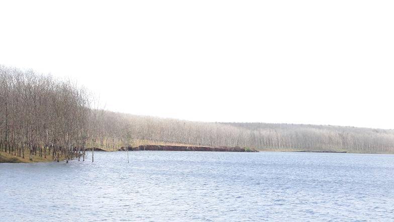 DSC00174R_zpsfa72f7c3.jpg