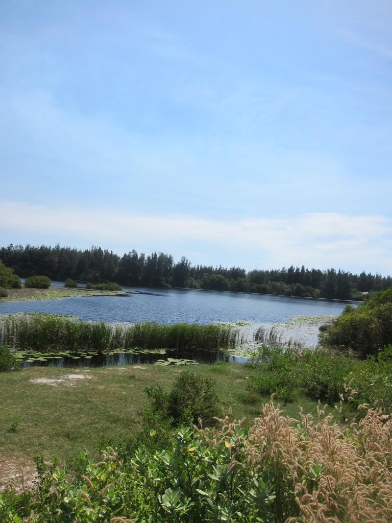 IMG_2812.jpg