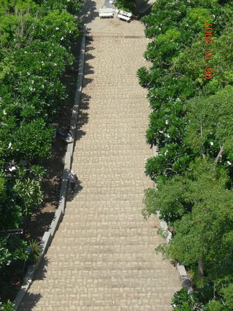 luuminhphuong_k28N5_1_23_ng.jpg
