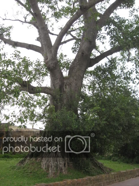 IMG_1325.jpg