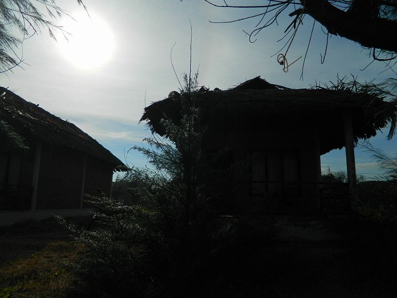 DSCN4407_235.jpg