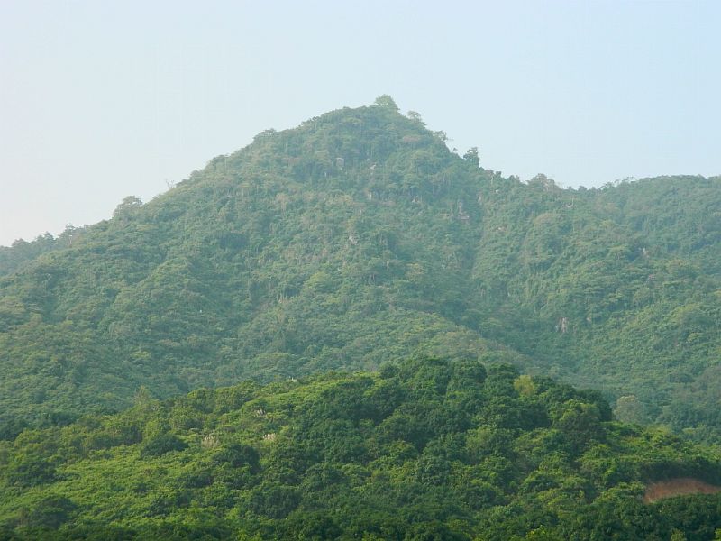 DSCN2532.jpg