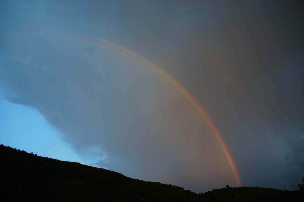 DSC05211.jpg