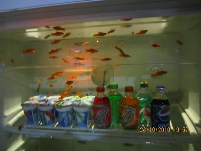 Picture106.jpg