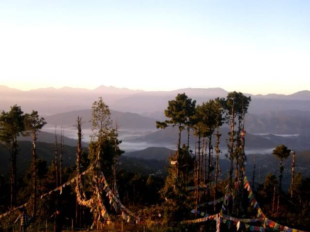 PB030521.jpg