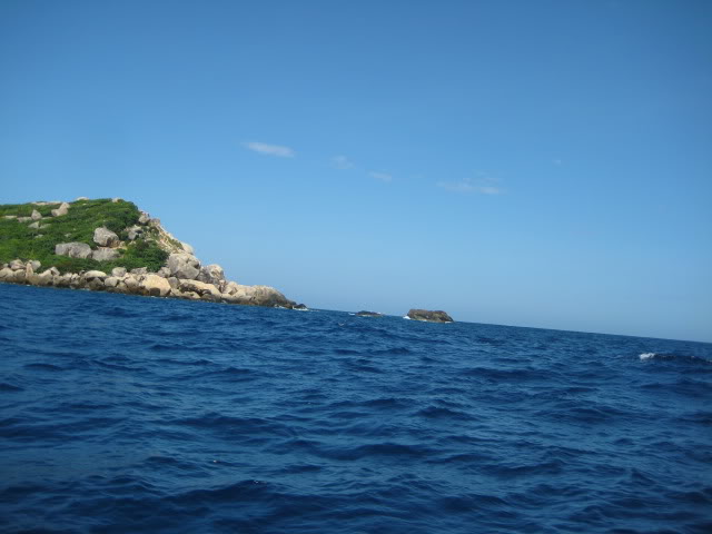 IMG_0305.jpg