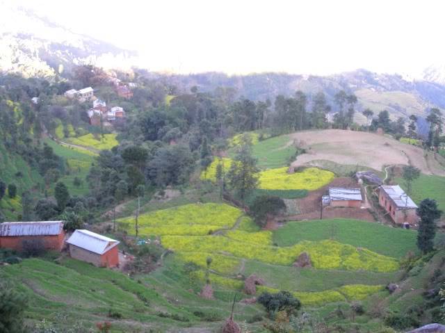 PB020286.jpg