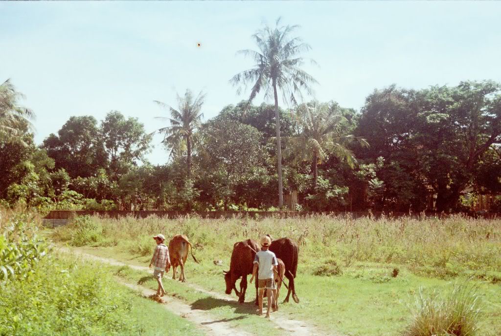 r001-016.jpg
