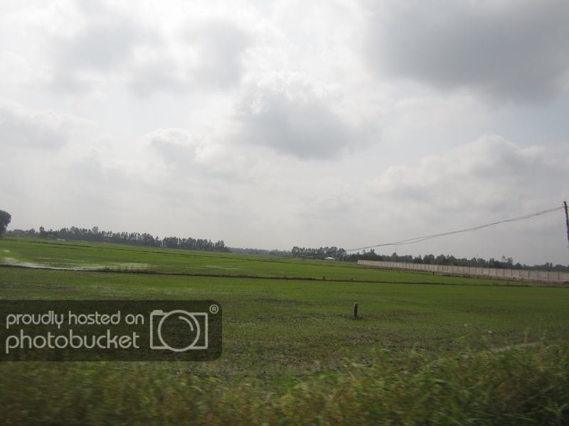 IMG_1029_zps2cf09433.jpg