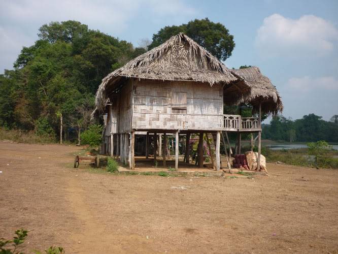 P1000798.jpg