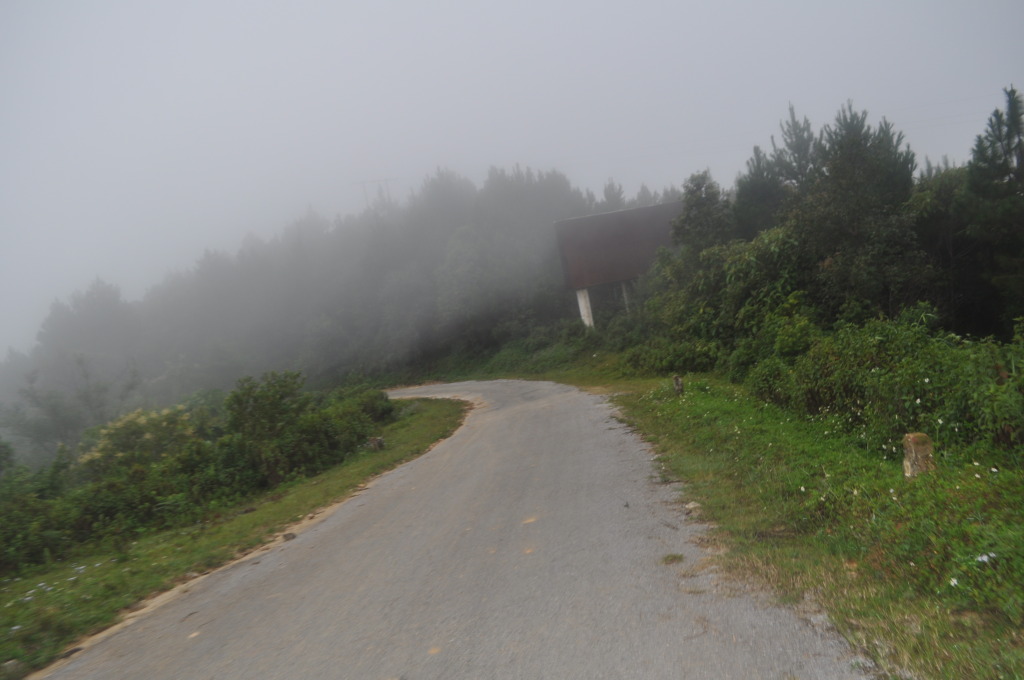 DSC_0019.jpg