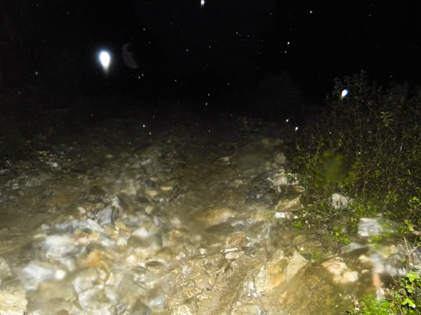 DSCN7312.jpg