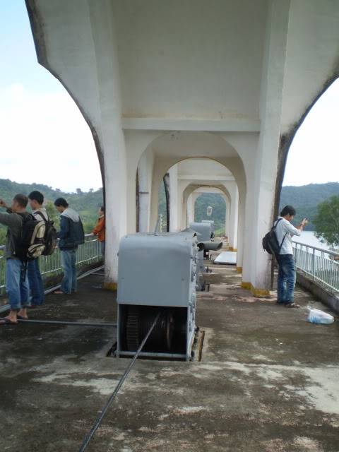P1010208.jpg