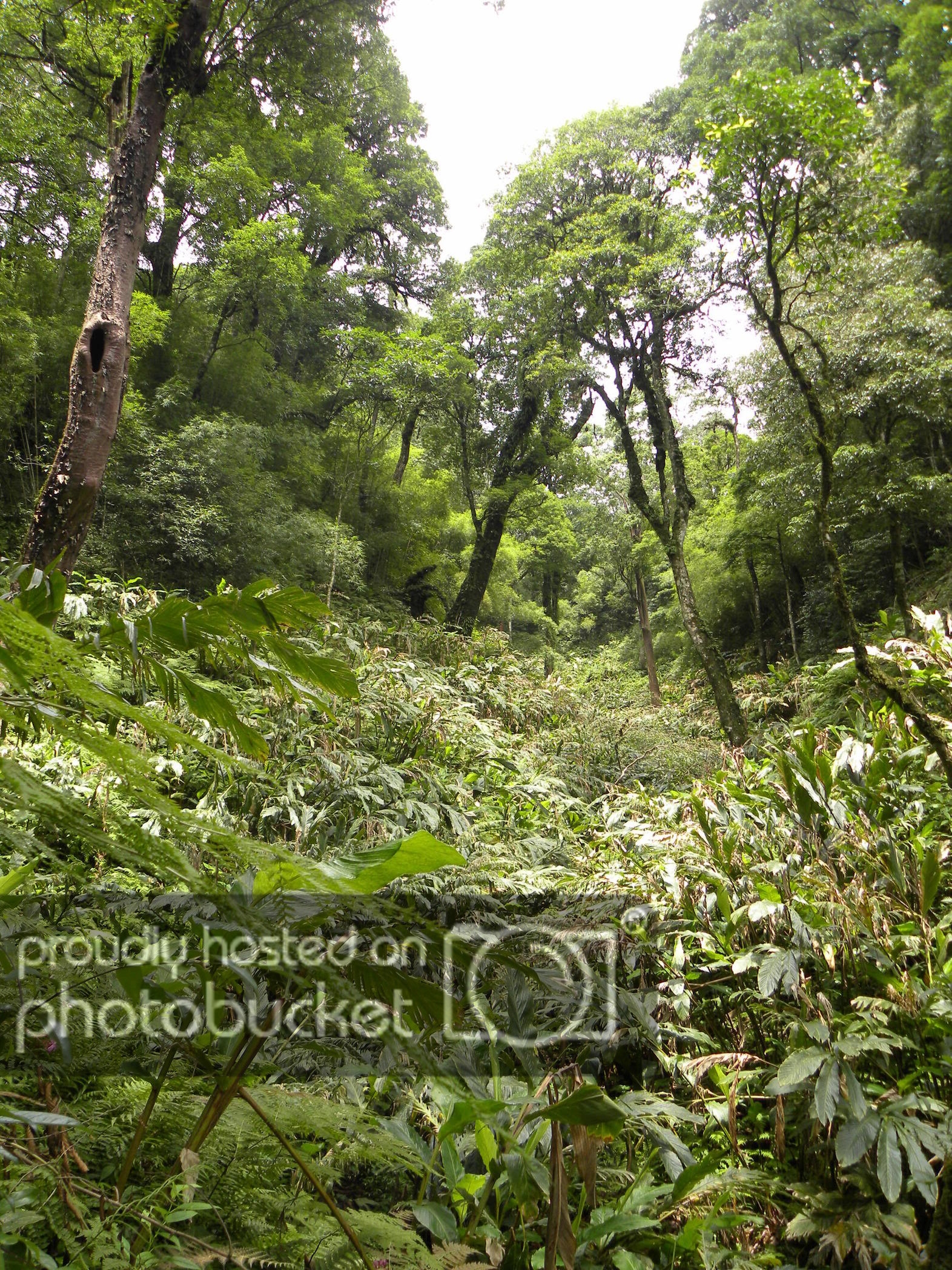 DSCN1495.jpg