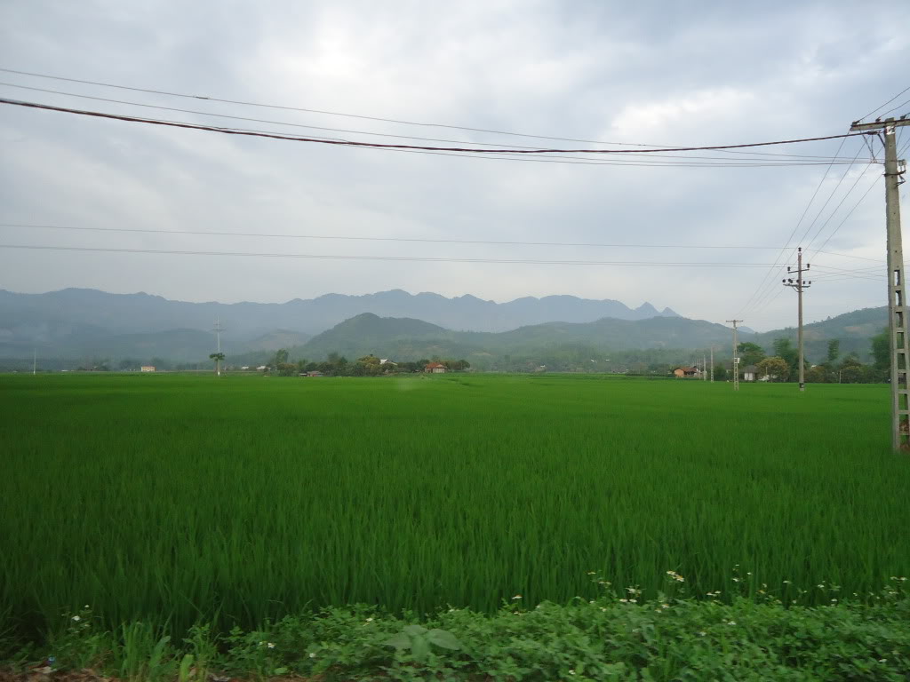 DSC00965.jpg