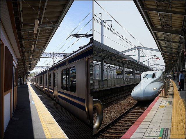 35872176833_752ca6b58e_z.jpg