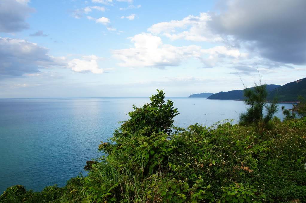 DSC03604.jpg