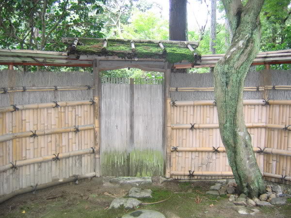 IMG_1234_resize.jpg
