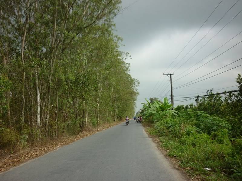P1010435.jpg