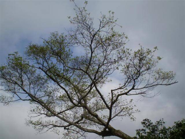 P1010122Medium.jpg