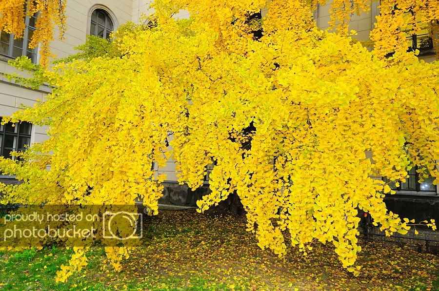 Duc-Berlin042.jpg