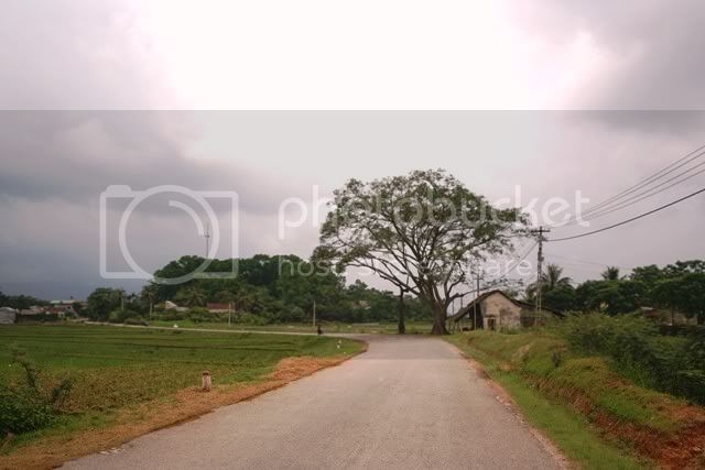 Theroad.jpg