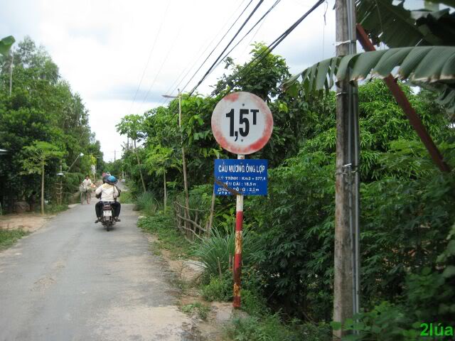 IMG_1762.jpg