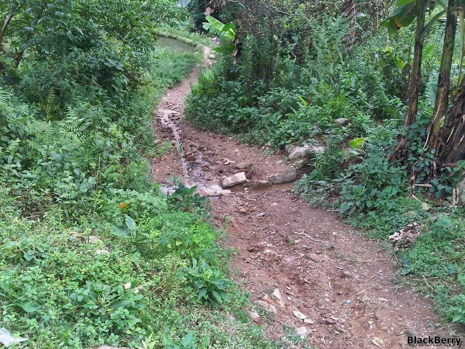 IMG-20120923-00172.jpg